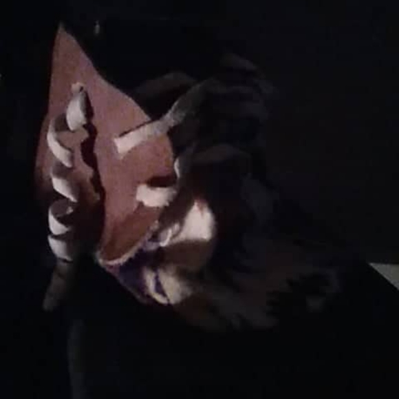 Booties & slippers - Picture 5 of 12